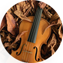 fiddle-img
