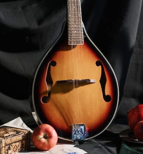 mandolin img